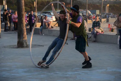 DSC_7102 (Large).JPG